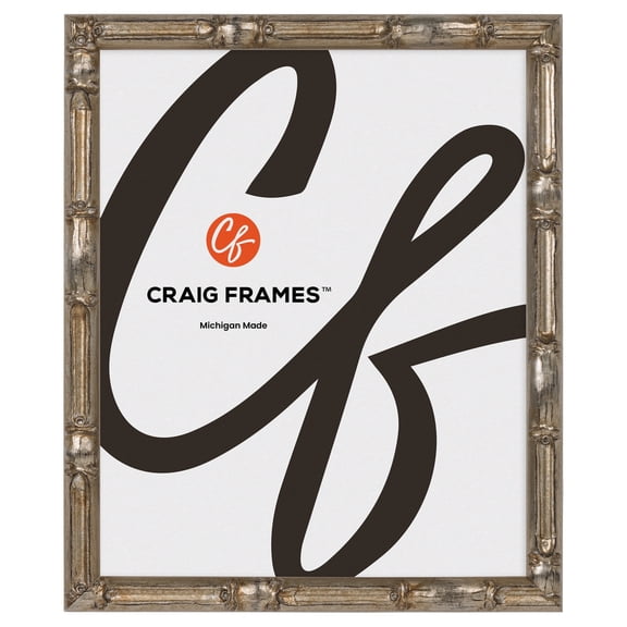 Craig Frames Vintage Silver Bamboo Composite Picture Frame, 16 x 20 Inch