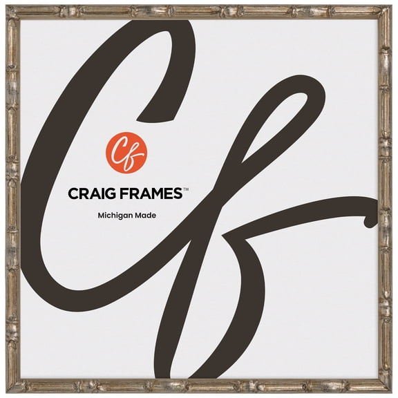 Craig Frames Vintage Silver Bamboo Composite Picture Frame, 18 x 18 Inch