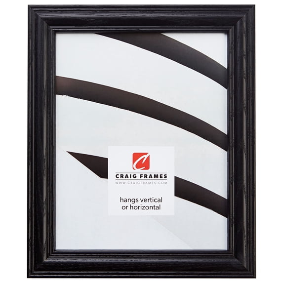 Craig Frames Wood Wall Mounted Frames, Black