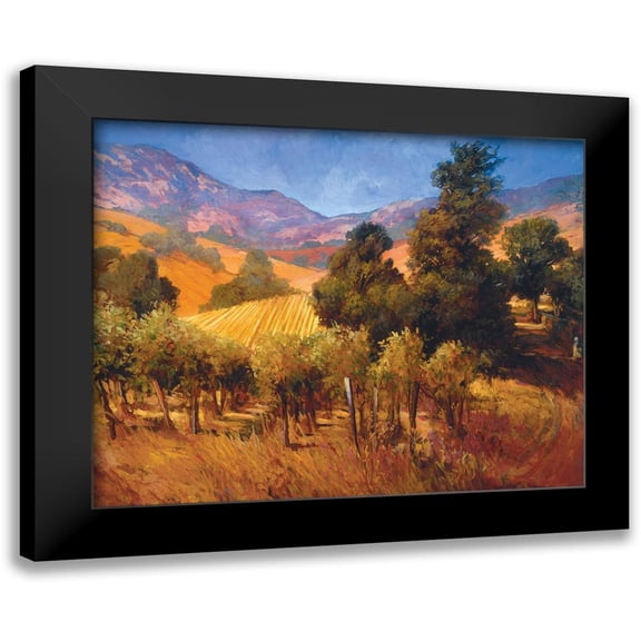 Craig, Philip 14x12 Black Modern Framed Museum Art Print Titled - Southern Vineyard Hills