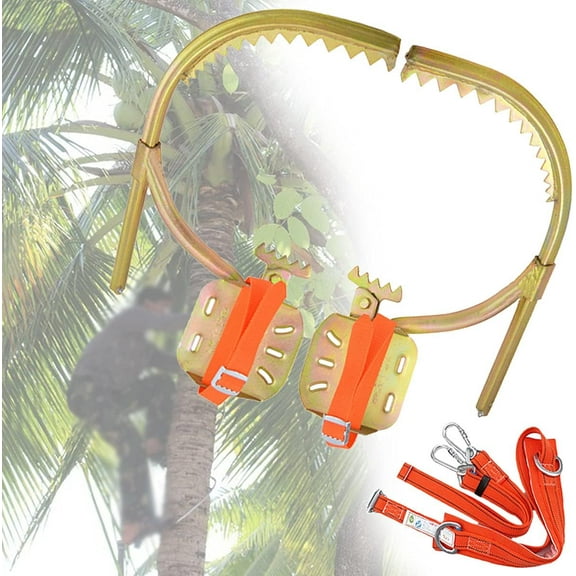 Crampons for Trees, Climbing Trees Artifact, Adjustable Electrician Wooden Pole Foot Buckle, for Hunting Observation, Picking Fruit, Coconut, Simple to Use,Model500