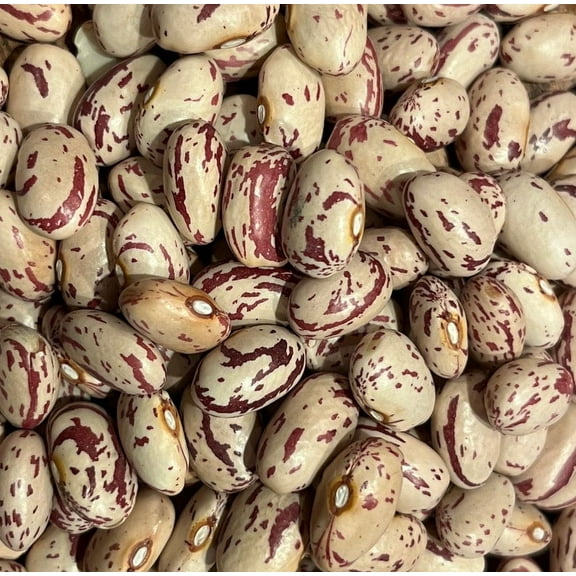Cranberry Bean Heirloom Seed Packet
