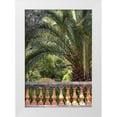 thumbnail image 1 of Crane, Rita 11x14 White Modern Wood Framed Museum Art Print Titled - Riviera Garden Palm I, 1 of 4