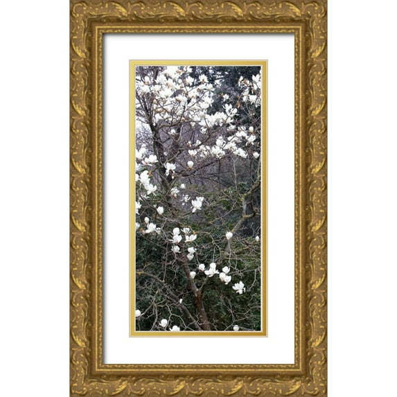 Crane, Rita 11x18 Gold Ornate Wood Framed with Double Matting Museum Art Print Titled - Giardino dei Semplici I