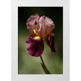 thumbnail image 1 of Crane, Rita 13x18 White Modern Wood Framed Museum Art Print Titled - Annemaries Irises V, 1 of 4