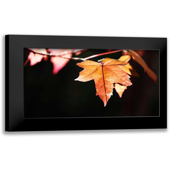 Crane, Rita 14x10 Black Modern Framed Museum Art Print Titled - Amber Leaves II