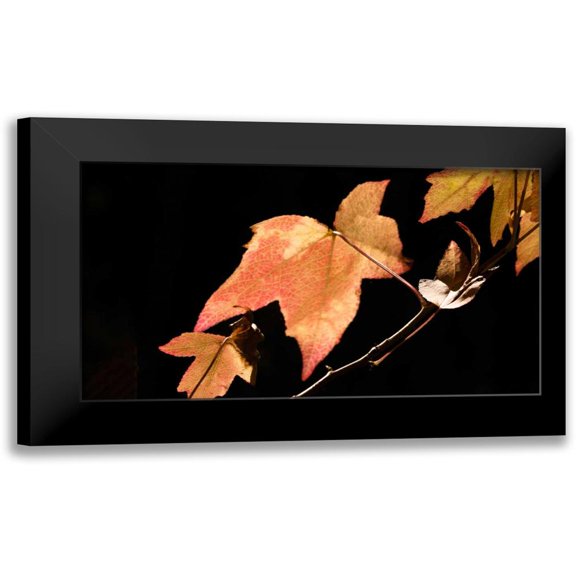 Crane, Rita 14x10 Black Modern Framed Museum Art Print Titled - Amber Leaves I
