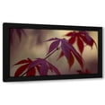 thumbnail image 1 of Rita Crane 14x10 Black Modern Wood Framed Wall Art Titled - Burgundy Maple II, 1 of 6