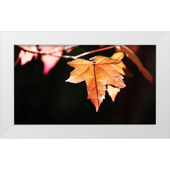 Crane, Rita 14x10 White Modern Wood Framed Museum Art Print Titled - Amber Leaves II