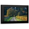 thumbnail image 1 of Crane, Rita 14x11 Black Modern Framed Museum Art Print Titled - After the Harvest II, 1 of 5