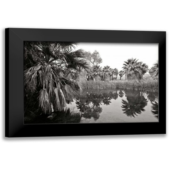 Crane, Rita 14x11 Black Modern Framed Museum Art Print Titled - Ancient Palms II