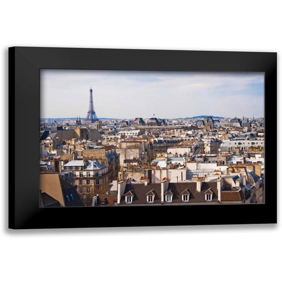 Crane, Rita 14x11 Black Modern Framed Museum Art Print Titled - Paris Rooftops IV