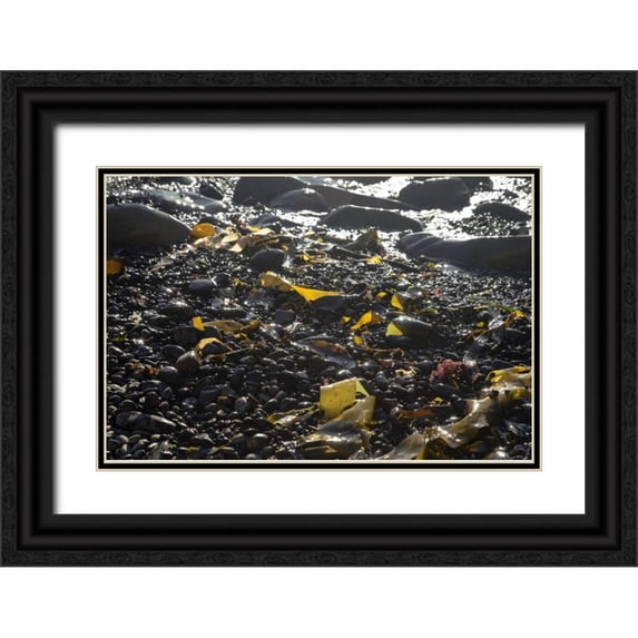 Crane, Rita 14x11 Black Ornate Wood Framed with Double Matting Museum Art Print Titled - Rocky Shore III
