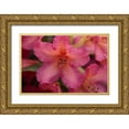 thumbnail image 1 of Crane, Rita 14x11 Gold Ornate Wood Framed with Double Matting Museum Art Print Titled - Exotic Rhodies X, 1 of 4