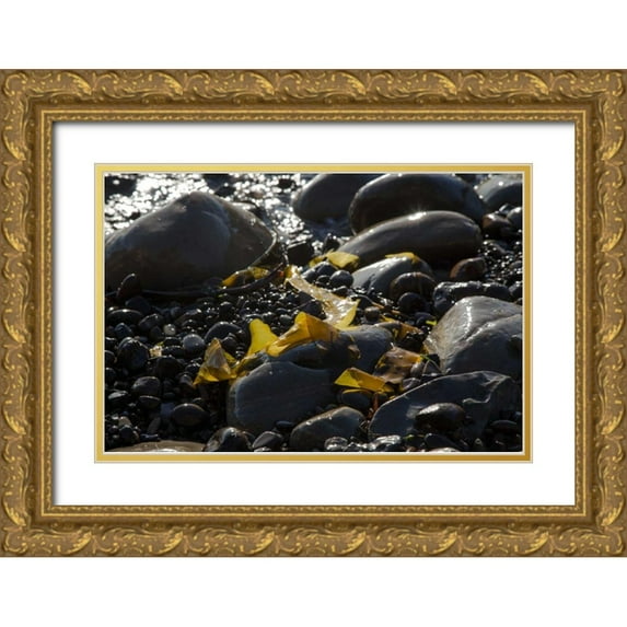 Crane, Rita 14x11 Gold Ornate Wood Framed with Double Matting Museum Art Print Titled - Rocky Shore I