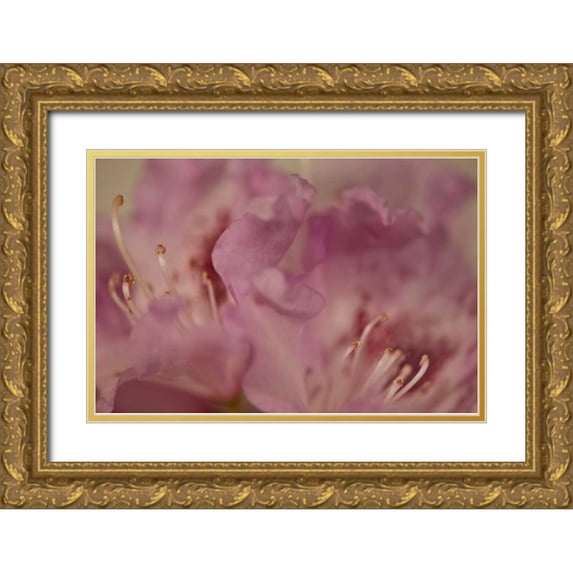 Crane, Rita 14x11 Gold Ornate Wood Framed with Double Matting Museum Art Print Titled - Soft Petals II