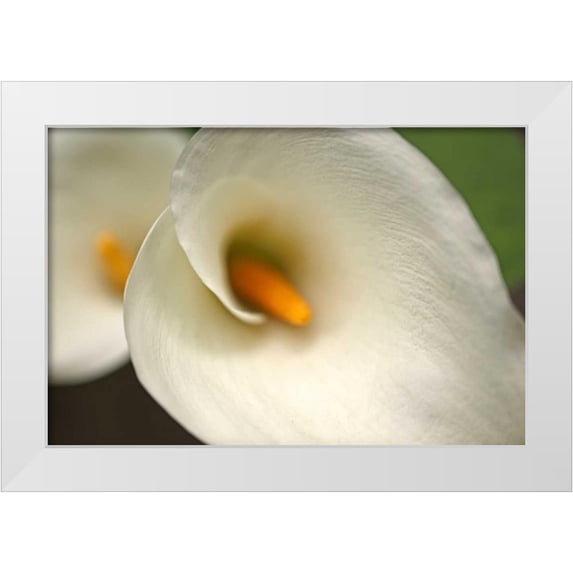 Crane, Rita 14x11 White Modern Wood Framed Museum Art Print Titled - Calla Lilies VI