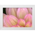 thumbnail image 1 of Crane, Rita 14x11 White Modern Wood Framed Museum Art Print Titled - China Doll Petals I, 1 of 4