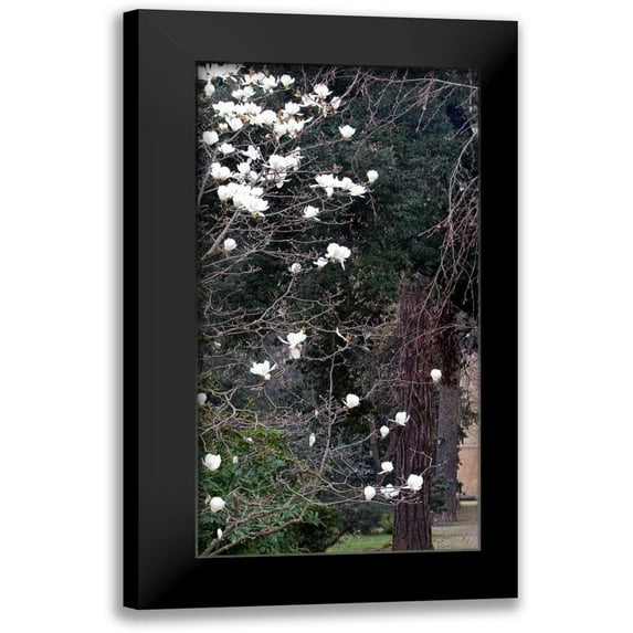 Crane, Rita 14x24 Black Modern Framed Museum Art Print Titled - Giardino dei Semplici II