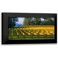 thumbnail image 1 of Crane, Rita 14x9 Black Modern Framed Museum Art Print Titled - Golden Rows IV, 1 of 5