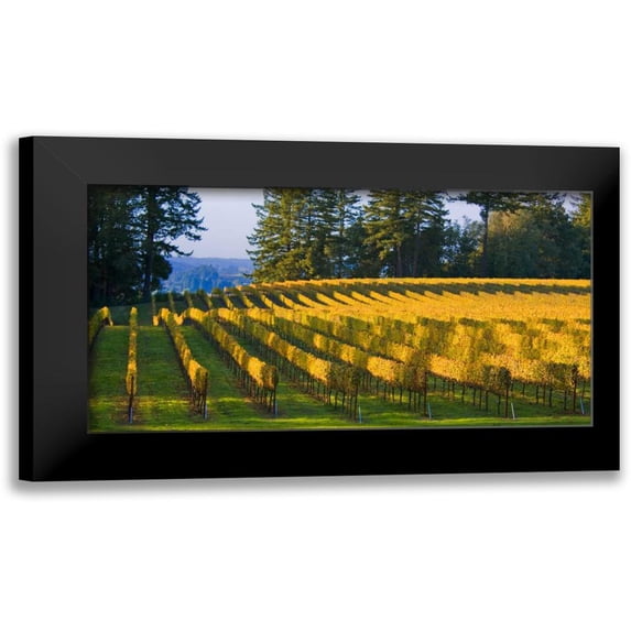 Crane, Rita 14x9 Black Modern Framed Museum Art Print Titled - Golden Rows IV