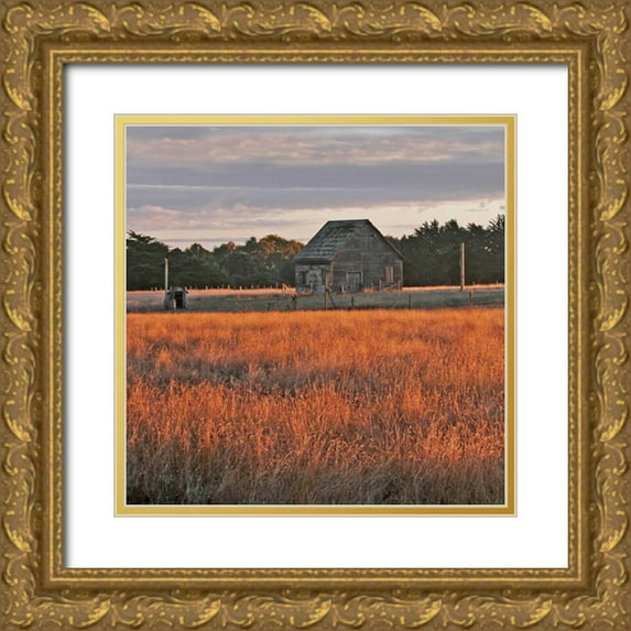 Crane, Rita 15x15 Gold Ornate Wood Framed with Double Matting Museum Art Print Titled - Golden Fields II