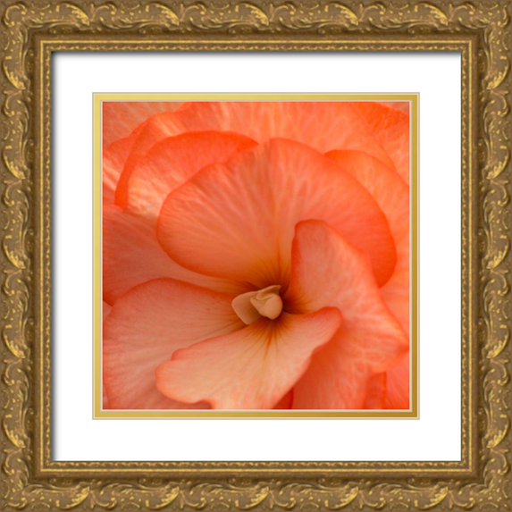 Crane, Rita 15x15 Gold Ornate Wood Framed with Double Matting Museum Art Print Titled - Orange Ruffles IV