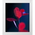 thumbnail image 1 of Crane, Rita 15x17 White Modern Wood Framed Museum Art Print Titled - Dancing Blue and Red II, 1 of 4