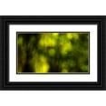 thumbnail image 1 of Crane, Rita 18x12 Black Ornate Wood Framed with Double Matting Museum Art Print Titled - Dream Forest II, 1 of 4