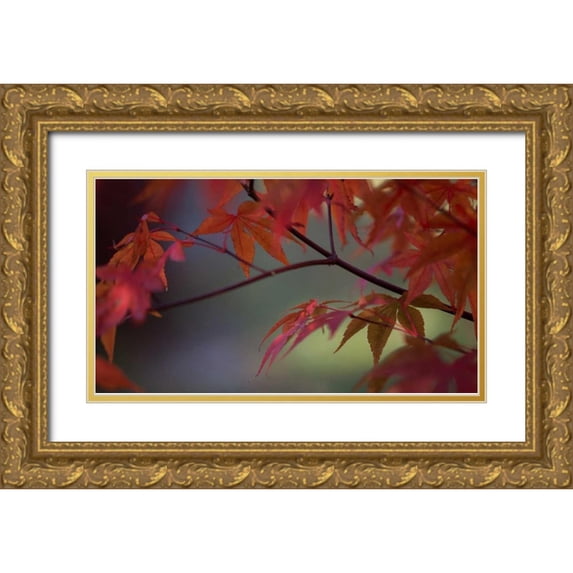 Crane, Rita 18x12 Gold Ornate Wood Framed with Double Matting Museum Art Print Titled - Sunlight Maple II