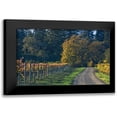 thumbnail image 1 of Crane, Rita 18x13 Black Modern Framed Museum Art Print Titled - After the Harvest I, 1 of 5