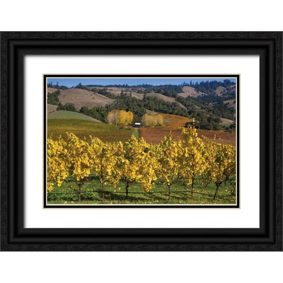 Crane, Rita 18x13 Black Ornate Wood Framed with Double Matting Museum Art Print Titled - Barns and Vineyards I