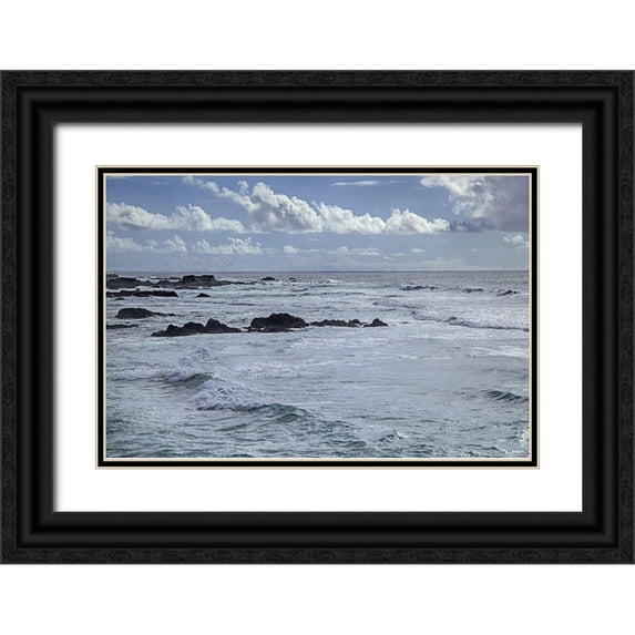 Crane, Rita 18x13 Black Ornate Wood Framed with Double Matting Museum Art Print Titled - Wind and Waves