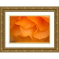 thumbnail image 1 of Crane, Rita 18x13 Gold Ornate Wood Framed with Double Matting Museum Art Print Titled - Begonia Glow II, 1 of 4