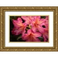 thumbnail image 1 of Crane, Rita 18x13 Gold Ornate Wood Framed with Double Matting Museum Art Print Titled - Exotic Rhodies IV, 1 of 4