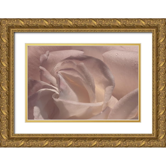 Crane, Rita 18x13 Gold Ornate Wood Framed with Double Matting Museum Art Print Titled - Heart of a Rose V