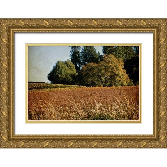 Crane, Rita 18x13 Gold Ornate Wood Framed with Double Matting Museum Art Print Titled - Vineyard Tapestry II