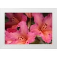 thumbnail image 1 of Crane, Rita 18x13 White Modern Wood Framed Museum Art Print Titled - Exotic Rhodies II, 1 of 4