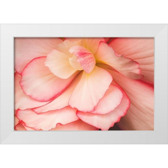 Crane, Rita 18x13 White Modern Wood Framed Museum Art Print Titled - Rosy Red Ruffles II
