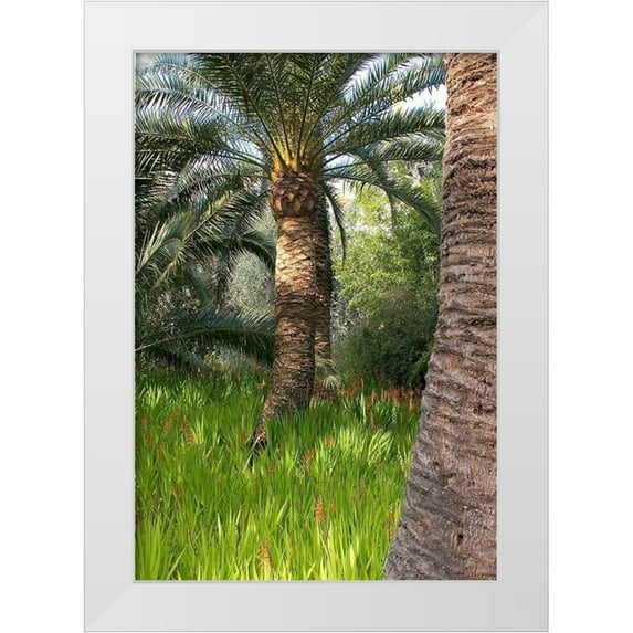 Crane, Rita 23x32 White Modern Wood Framed Museum Art Print Titled - Riviera Garden Palm II