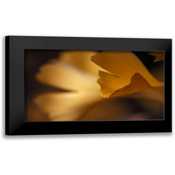 Crane, Rita 24x15 Black Modern Framed Museum Art Print Titled - Gingko Leaves I