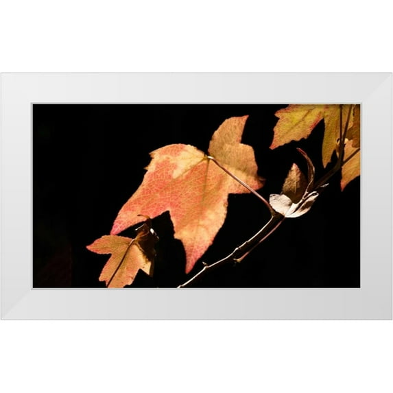 Crane, Rita 24x15 White Modern Wood Framed Museum Art Print Titled - Amber Leaves I