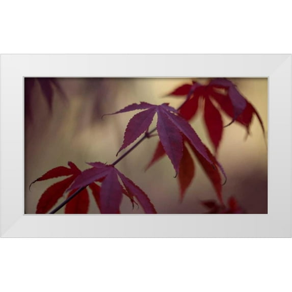 Crane, Rita 24x15 White Modern Wood Framed Museum Art Print Titled - Burgundy Maple II