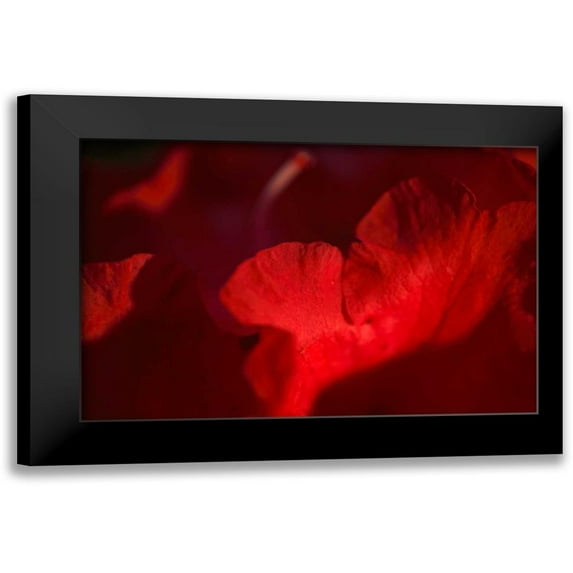 Crane, Rita 24x17 Black Modern Framed Museum Art Print Titled - Crimson Petals II