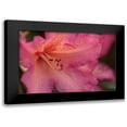 thumbnail image 1 of Crane, Rita 24x17 Black Modern Framed Museum Art Print Titled - Exotic Rhodies VII, 1 of 5