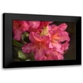 thumbnail image 1 of Crane, Rita 24x17 Black Modern Framed Museum Art Print Titled - Exotic Rhodies V, 1 of 5