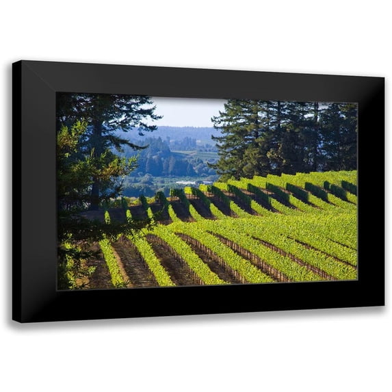 Crane, Rita 24x17 Black Modern Framed Museum Art Print Titled - Sunlit Vineyard I