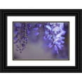 thumbnail image 1 of Crane, Rita 24x17 Black Ornate Wood Framed with Double Matting Museum Art Print Titled - Delicate Wisteria II, 1 of 4