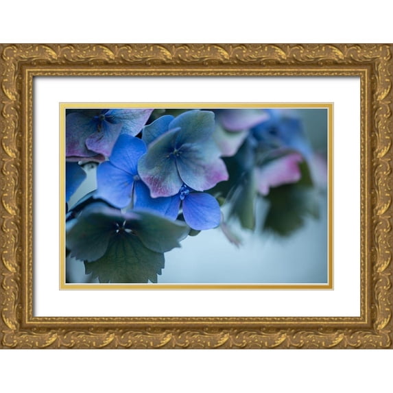 Crane, Rita 24x17 Gold Ornate Wood Framed with Double Matting Museum Art Print Titled - Autumn Hydrangea I