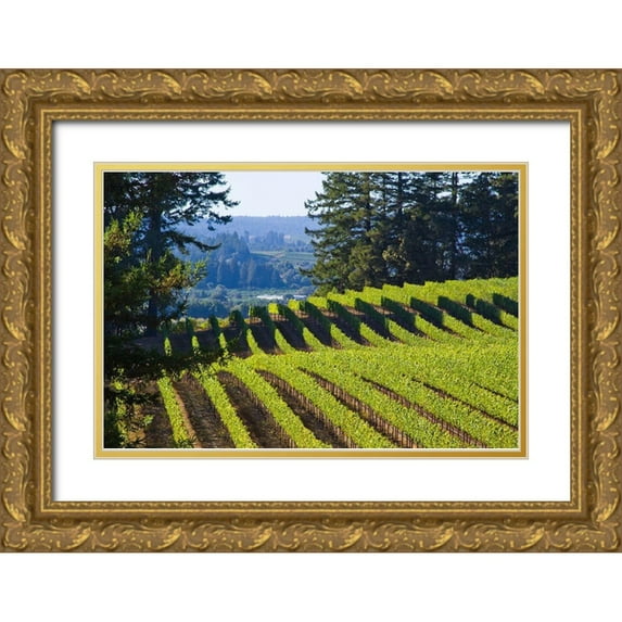 Crane, Rita 24x17 Gold Ornate Wood Framed with Double Matting Museum Art Print Titled - Sunlit Vineyard I